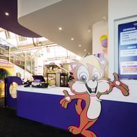 Chipmunks indoor playground franchise for sale - Adelaide image