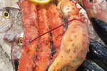 Fresh Seafood Business - Profitable