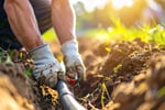 Water Infrastructure and Pump Specialist