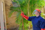 SURE Pest Control Franchises - Perth, WA
