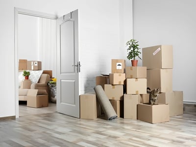Specialised Relocation and Home Organisation Services - Sydney, NSW image