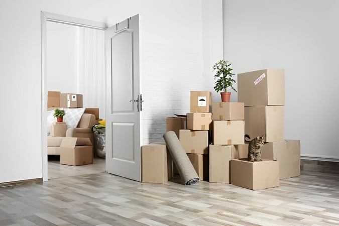 Specialised Relocation and Home Organisation Services - Sydney, NSW