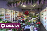 [ABS-102] FLORIST WITH 48 YEARS HISTORY FOR SALE