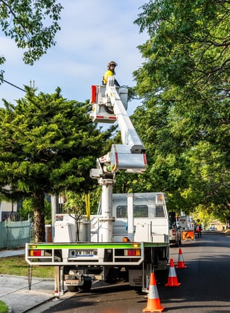Vegetation Maintanance Municipal Contractor