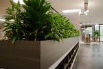 High-Margin Plant Service Business