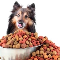 Are You Selling Your Business Or Wanted To Know How Much Is Your Business Worth? image