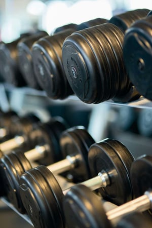 Established Fitness Facility, Diverse Revenue Streams, Greater Sydney | ID: 1422