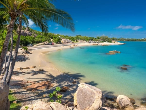 Long-Established Tree Services Business - Coastal Lifestyle!