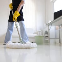 Established Strata Cleaning Business image