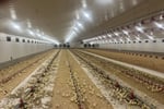 Thriving Agritech Business with Global Reach and Proven Success