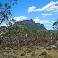 GROUP ACCOMMODATION FREEHOLD AND BUSINESS image