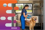 37007 - Mobile Pet Grooming Business Ready to Grow