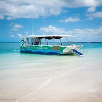 Eco Tour Business - Hervey Bay image