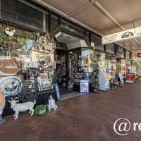 WINNER PRICE - LOTTERY, NEWS & GIFTS image