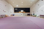 Vacant Community Hall Mutiple Use STCA Zoned Village Freehold o/o $250K 1.05 acres