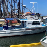 Fozies Fishing Adventures image