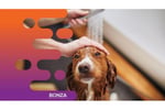 36130 Highly Reputable Pet Grooming Salon in Prime Location