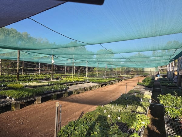 Central to North Queensland Wholesale Nursery  Strategic Add on or Lifestyle Business