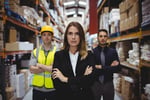Large 3PL - Logistics/Warehousing and Transport Service Provider #393