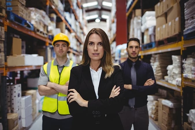 Large 3PL - Logistics/Warehousing and Transport Service Provider #393