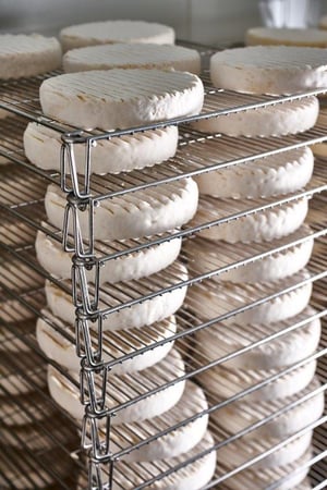 Cheese Manufacturing &amp; Distribution - Newcastle Area