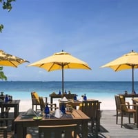 Hospitality Lease for Sale in Paradise: Beachside Bar Grill image