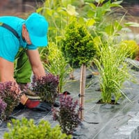 Turfing & Landscaping Business For Sale * Strong Client Base * Bayside/mornington Peninsula [2407111] image
