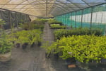 Plant the seed for your future