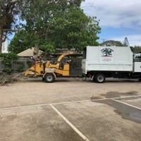 Tree Care - Arborist business UNDER CONTRACT image