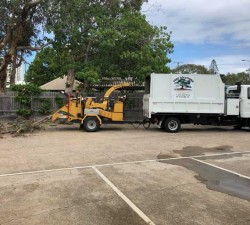 Tree Care - Arborist business UNDER CONTRACT