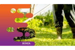 36015 Established & Profitable Lawn & Garden Maintenance Business