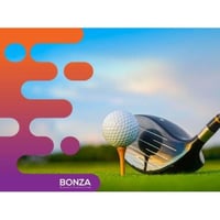 36049 Niche Software Opportunity - Interactive Golf Platform image