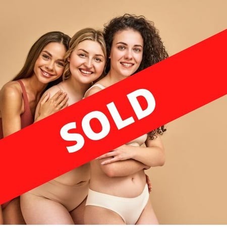 Online Lingerie Retailer - SOLD