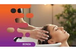 36252 Luxury Hair Salon  Profitable & Ready for New Ownership