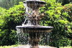 HERITAGE SEED BANK and OPEN GARDEN