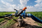 Irrigation and Water Management Business in North Queensland