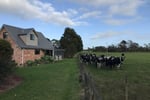 HOLIDAY COTTAGES, COASTAL, MOTEL