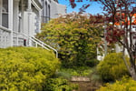 Prime Location Residence with Income or 3 BnB lets (stca) or Health Professional Rooms