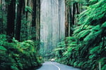 Boutique Accommodation Retreat + Freehold - Dandenong Ranges