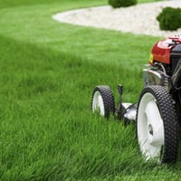LAWN MOWING BUSINESS BAYSIDE  REGION image