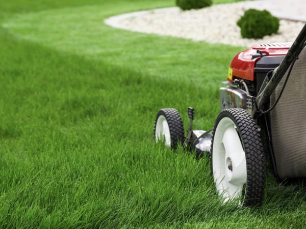 LAWN MOWING BUSINESS BAYSIDE  REGION