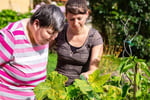 NDIS Business with approx. $253,000,000 in plan funding
