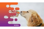 35027 Thriving Pet Food Retailer - Niche Market Presence