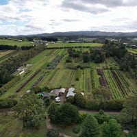 FREEHOLD Foliage Farm Supplying the Florist Industry - Silvan, VIC image