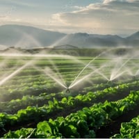 Thriving Irrigation and Pumps Business - Central Queensland! image