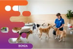 36834 Specialist Dog Care Business in High Demand