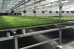 Innovative Horticultural Business $2.8M WIWO on SEQ Freehold Land