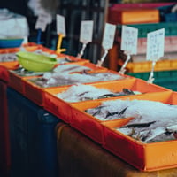Coming Soon - Fresh Seafood Business - Easy To Run image
