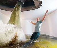 Disaster Recovery Restoration Business - A Beacon of Resilience image