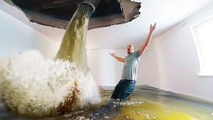 Disaster Recovery Restoration Business - A Beacon of Resilience image
